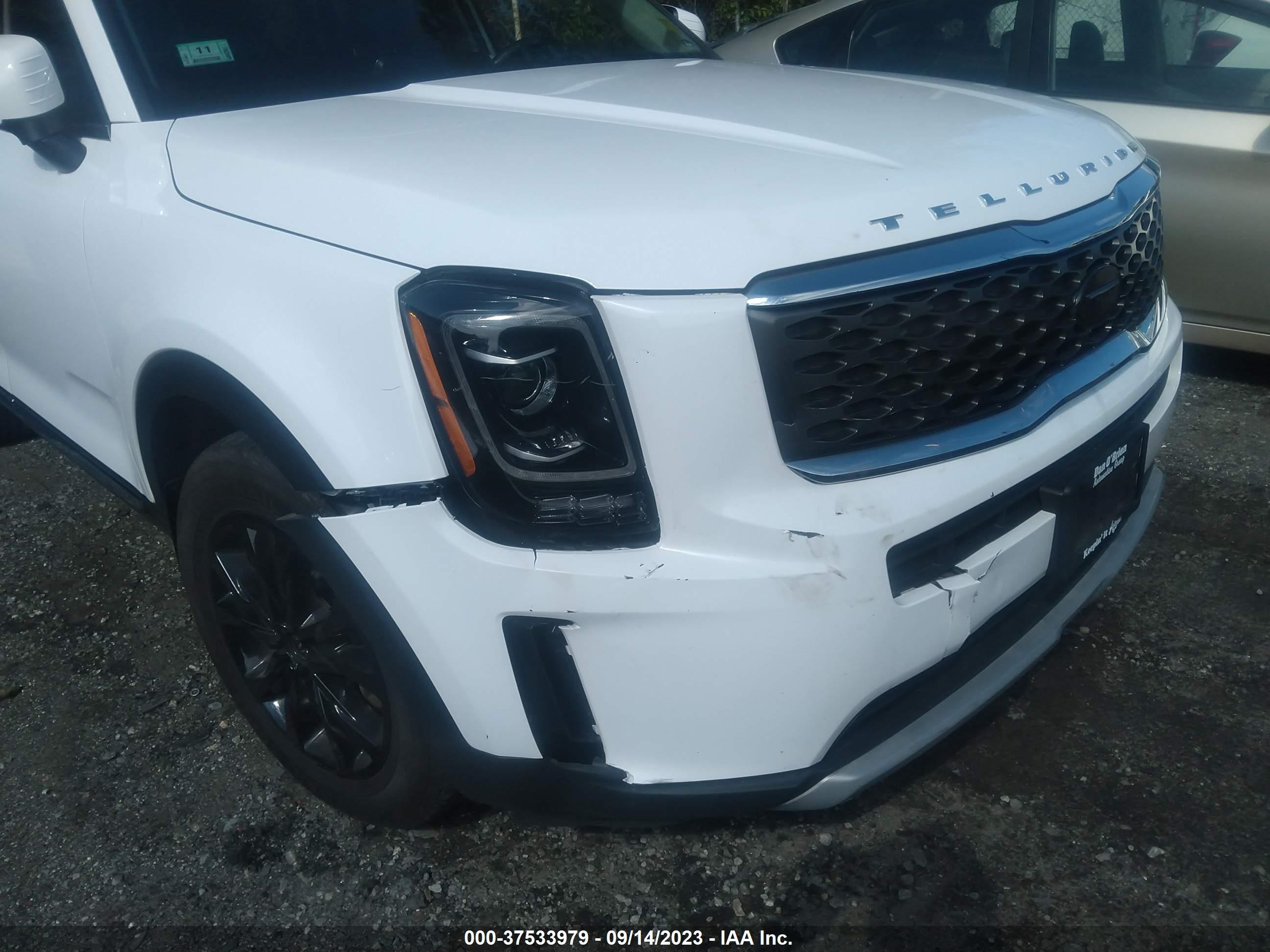 Photo 5 VIN: 5XYP2DHC2MG120641 - KIA TELLURIDE 