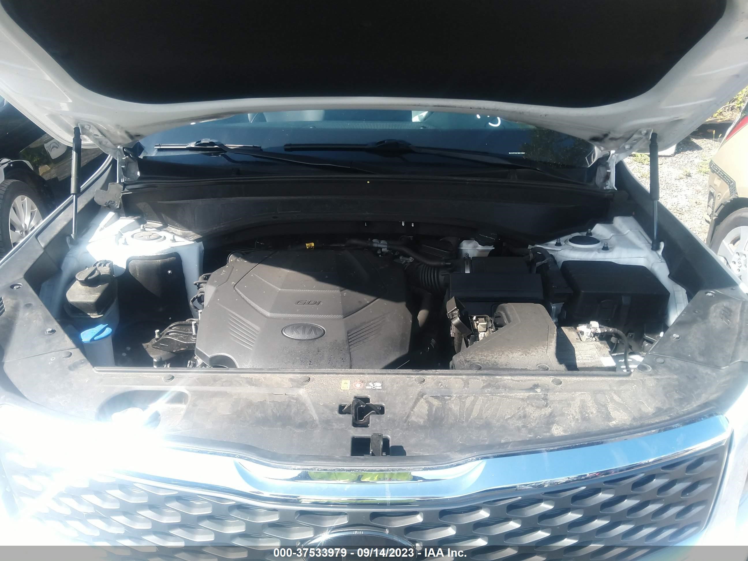 Photo 9 VIN: 5XYP2DHC2MG120641 - KIA TELLURIDE 