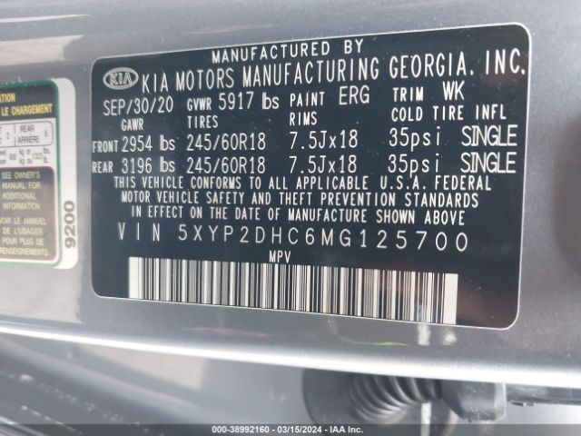 Photo 8 VIN: 5XYP2DHC6MG125700 - KIA TELLURIDE 