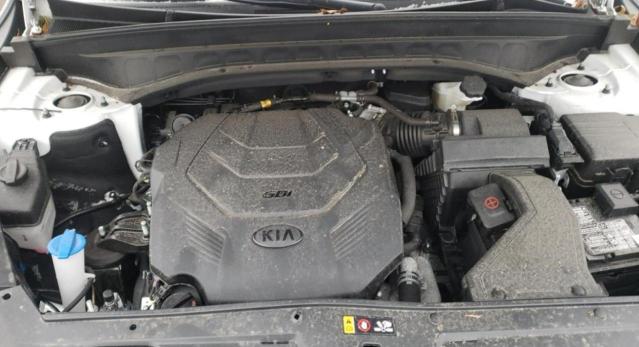 Photo 6 VIN: 5XYP2DHC7MG169723 - KIA TELLURIDE 