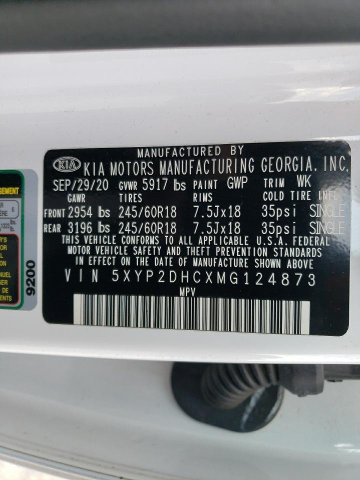 Photo 13 VIN: 5XYP2DHCXMG124873 - KIA TELLURIDE 