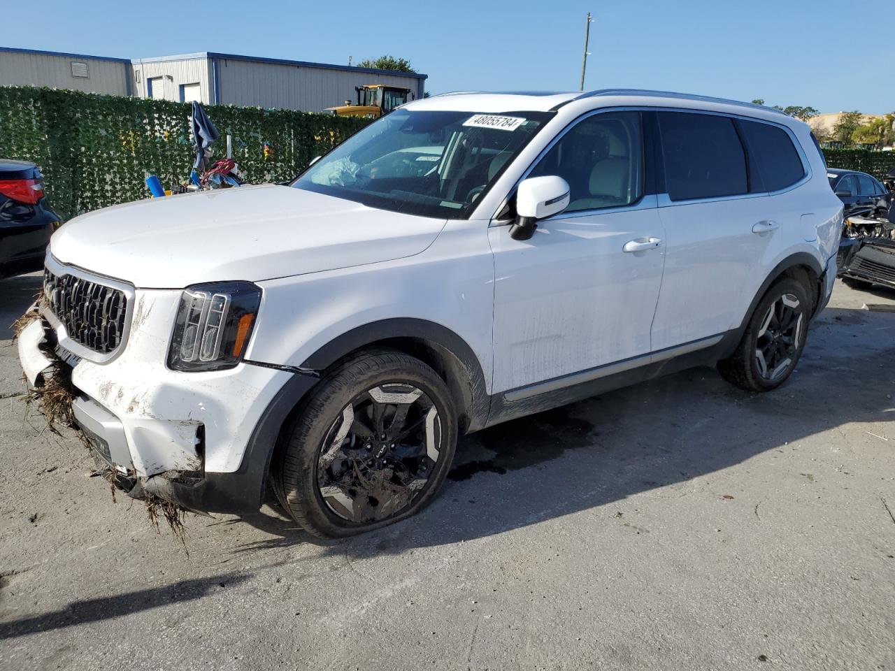 Photo 0 VIN: 5XYP34GC0RG416263 - KIA TELLURIDE 