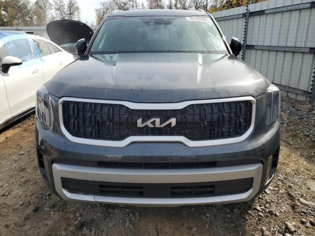 Photo 4 VIN: 5XYP34GC2RG425904 - KIA TELLURIDE 