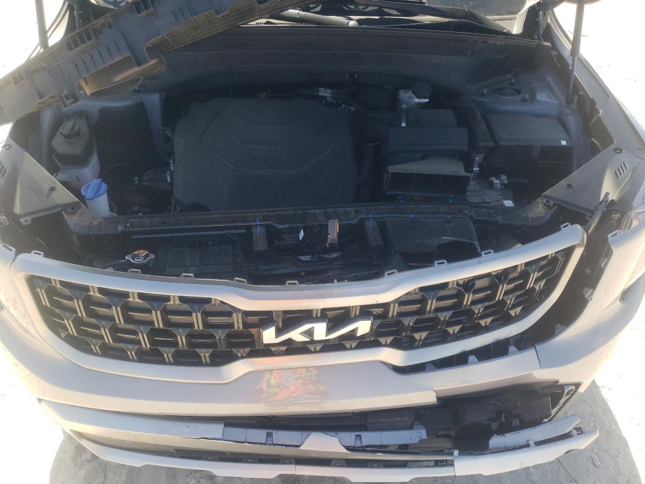 Photo 11 VIN: 5XYP3DGC1PG344969 - KIA TELLURIDE 