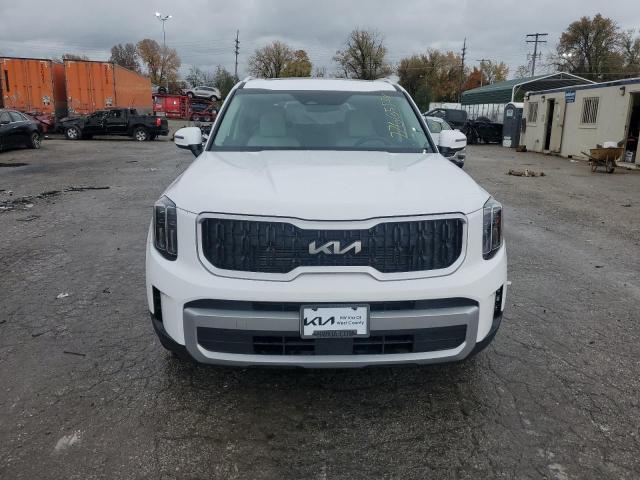 Photo 4 VIN: 5XYP3DGC1PG380256 - KIA TELLURIDE 