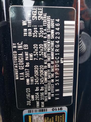 Photo 12 VIN: 5XYP3DGC1RG423464 - KIA TELLURIDE 