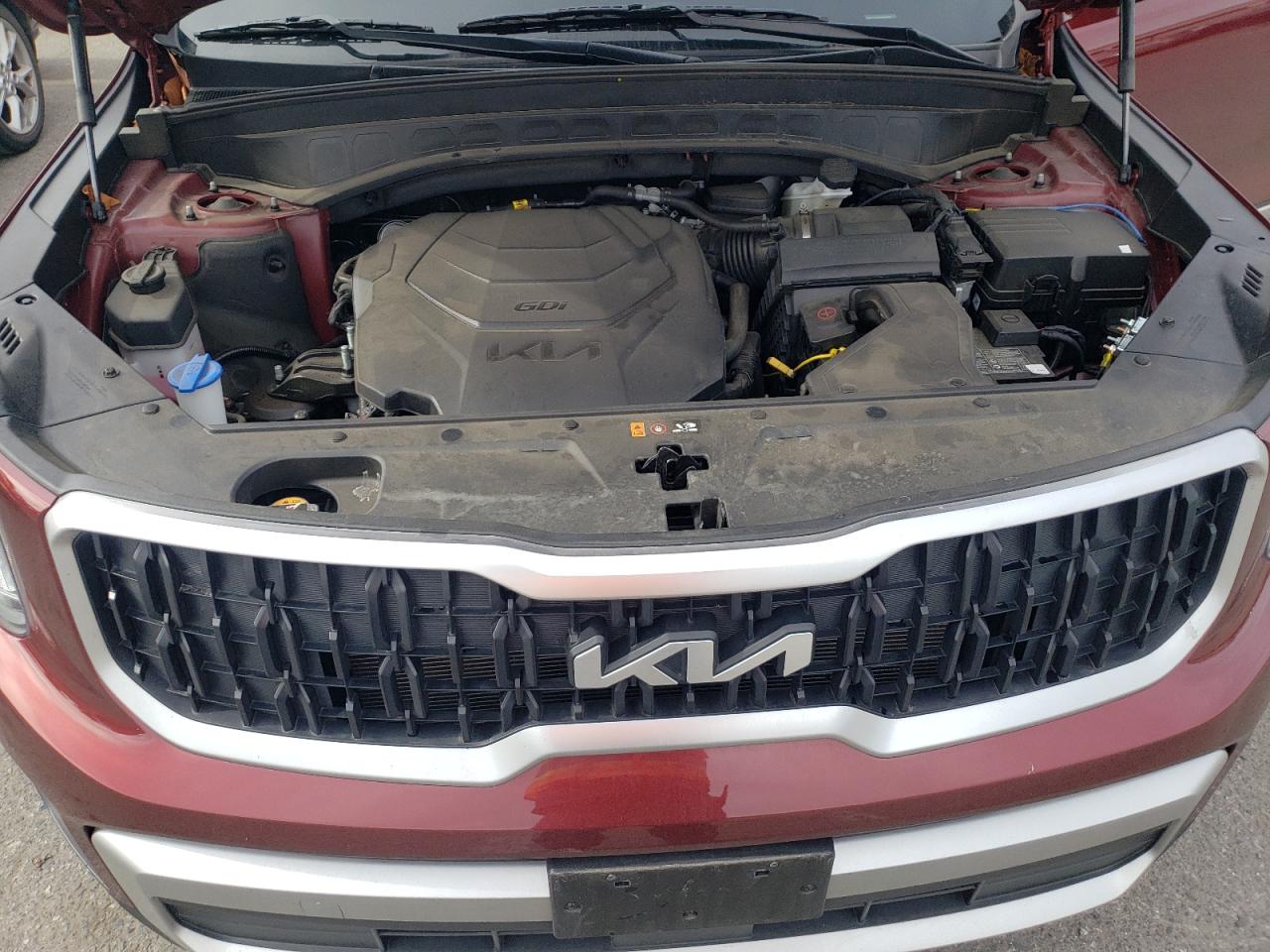 Photo 10 VIN: 5XYP3DGC3PG355052 - KIA TELLURIDE 