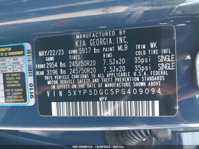 Photo 8 VIN: 5XYP3DGC5PG409094 - KIA TELLURIDE 