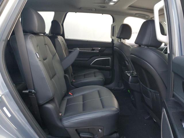 Photo 10 VIN: 5XYP3DGC8PG398835 - KIA TELLURIDE 