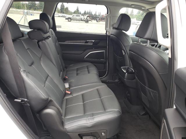 Photo 10 VIN: 5XYP3DGC8RG440357 - KIA TELLURIDE 