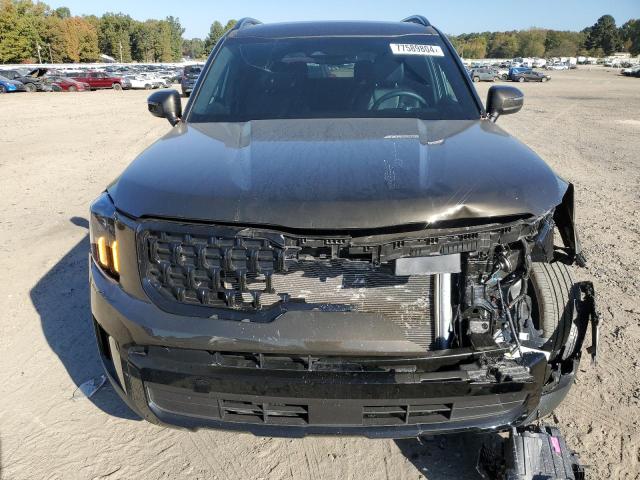 Photo 4 VIN: 5XYP3DGC9RG512859 - KIA TELLURIDE 