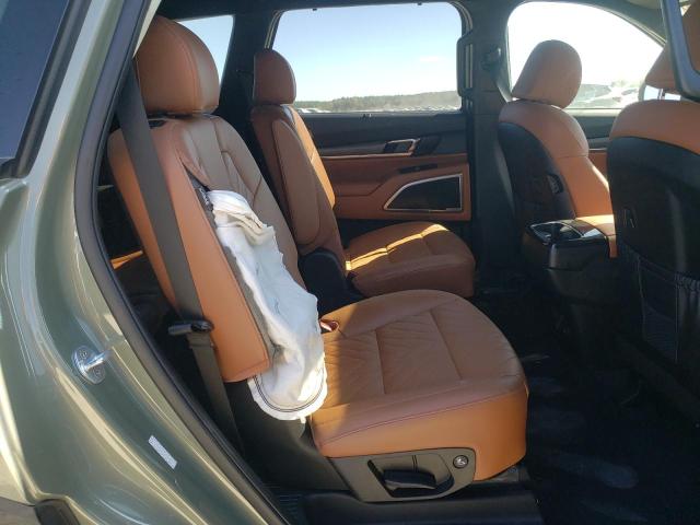 Photo 10 VIN: 5XYP3DGCXPG360507 - KIA TELLURIDE 