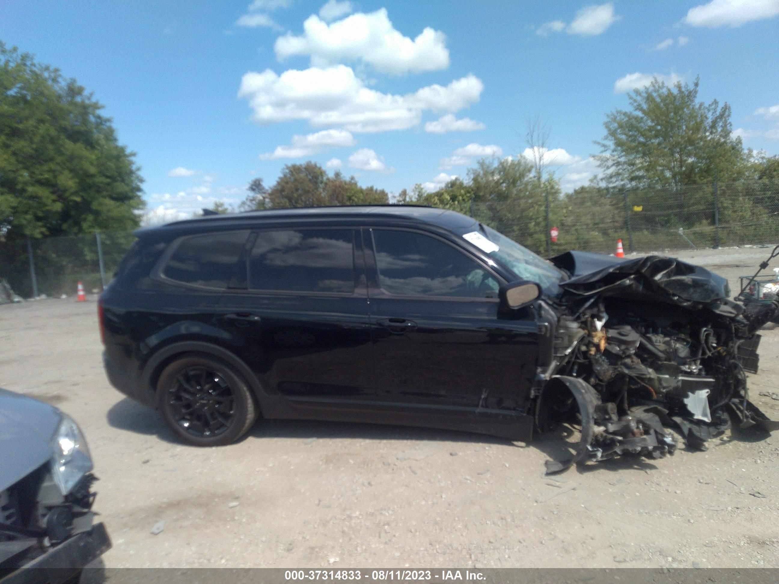 Photo 12 VIN: 5XYP3DHC0NG255082 - KIA TELLURIDE 