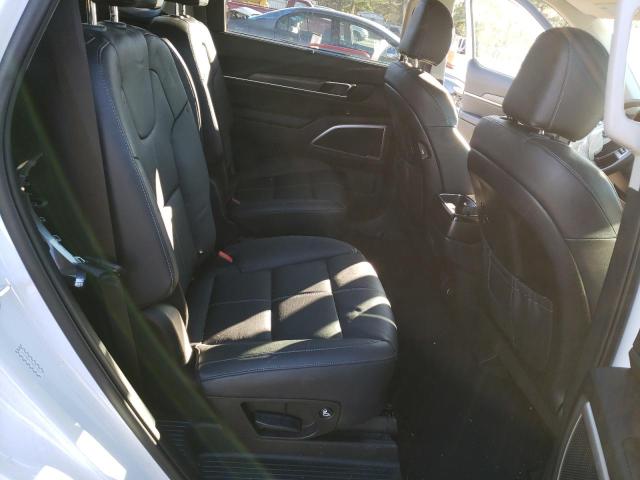 Photo 10 VIN: 5XYP3DHC2MG113024 - KIA TELLURIDE 