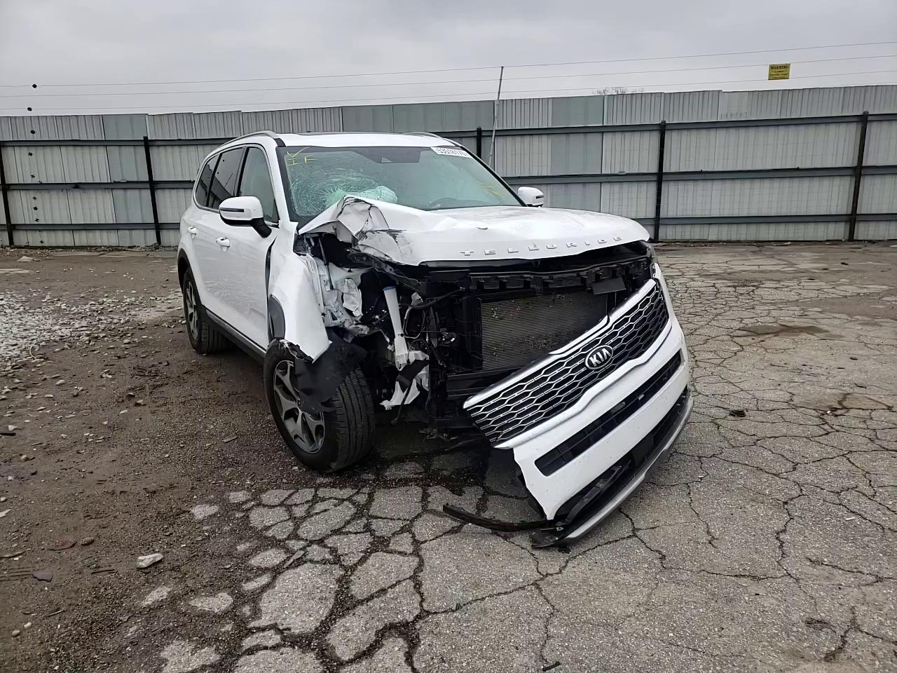 Photo 10 VIN: 5XYP3DHC6LG046670 - KIA TELLURIDE 