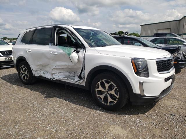 Photo 3 VIN: 5XYP3DHC6NG229991 - KIA TELLURIDE 