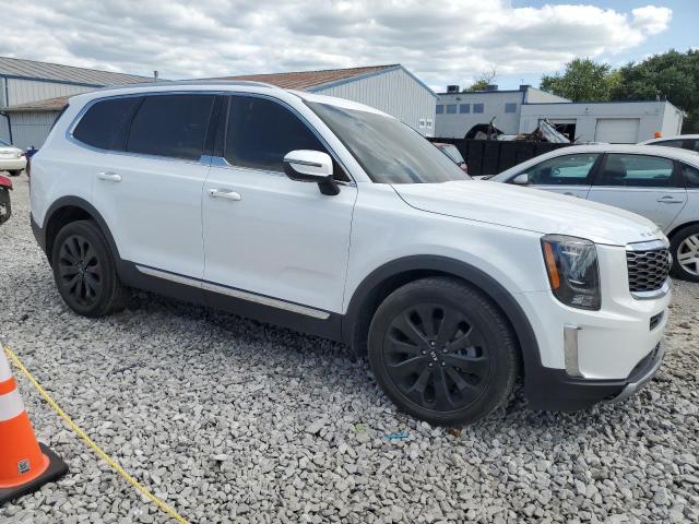 Photo 3 VIN: 5XYP3DHC7LG079175 - KIA TELLURIDE 