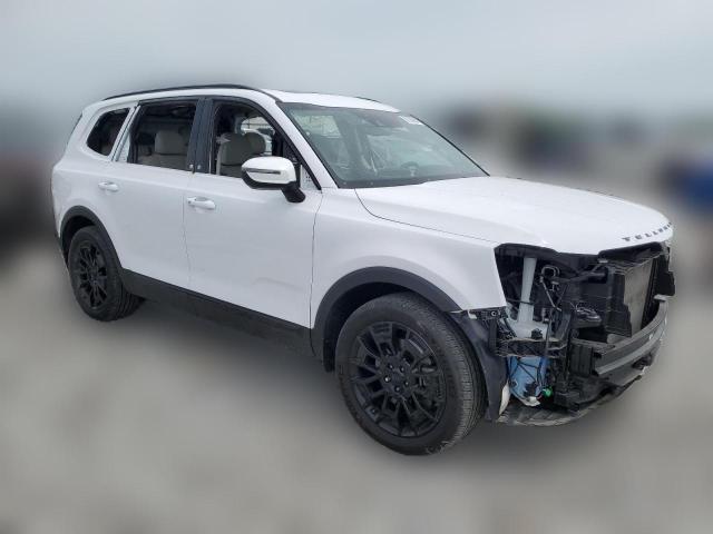 Photo 3 VIN: 5XYP3DHC8MG187726 - KIA TELLURIDE 