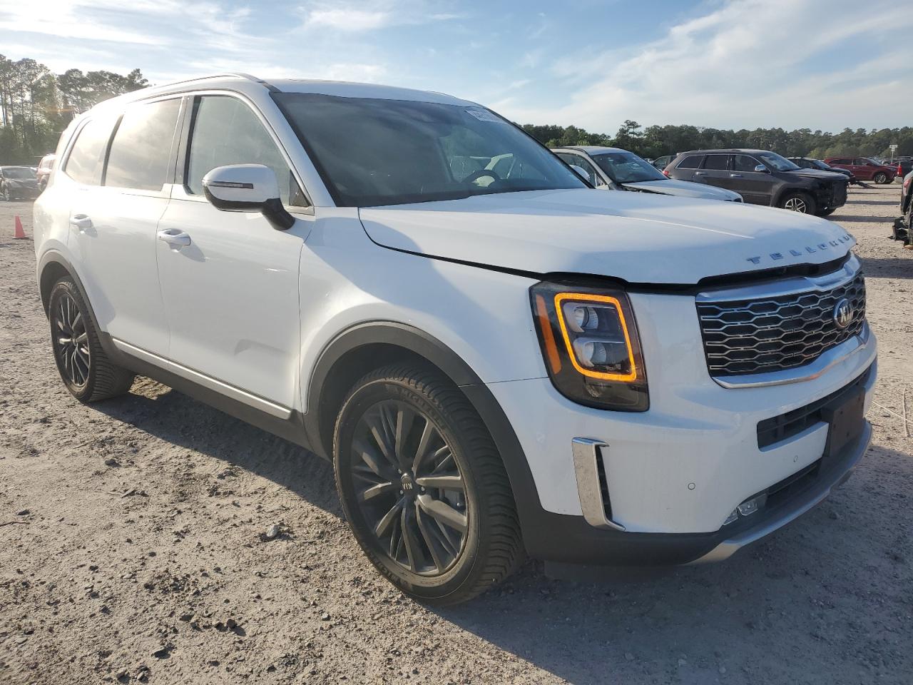 Photo 3 VIN: 5XYP54HC3MG103936 - KIA TELLURIDE 