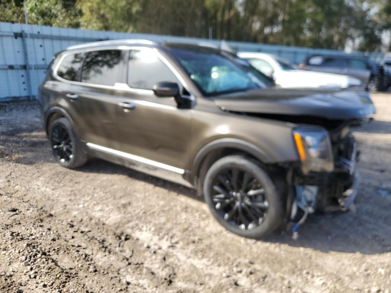 Photo 3 VIN: 5XYP54HC6NG195870 - KIA TELLURIDE 