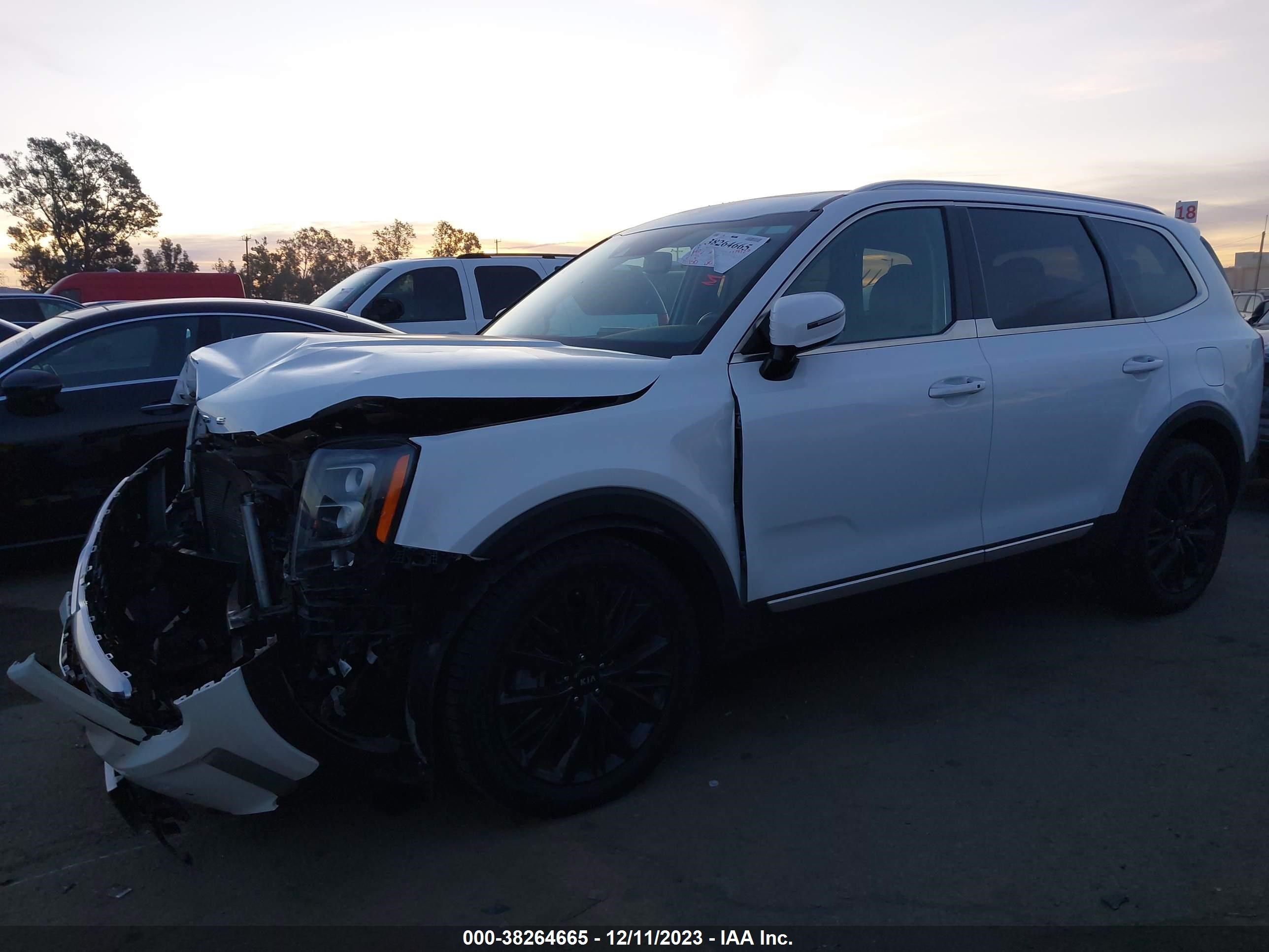 Photo 13 VIN: 5XYP54HC8LG074917 - KIA TELLURIDE 