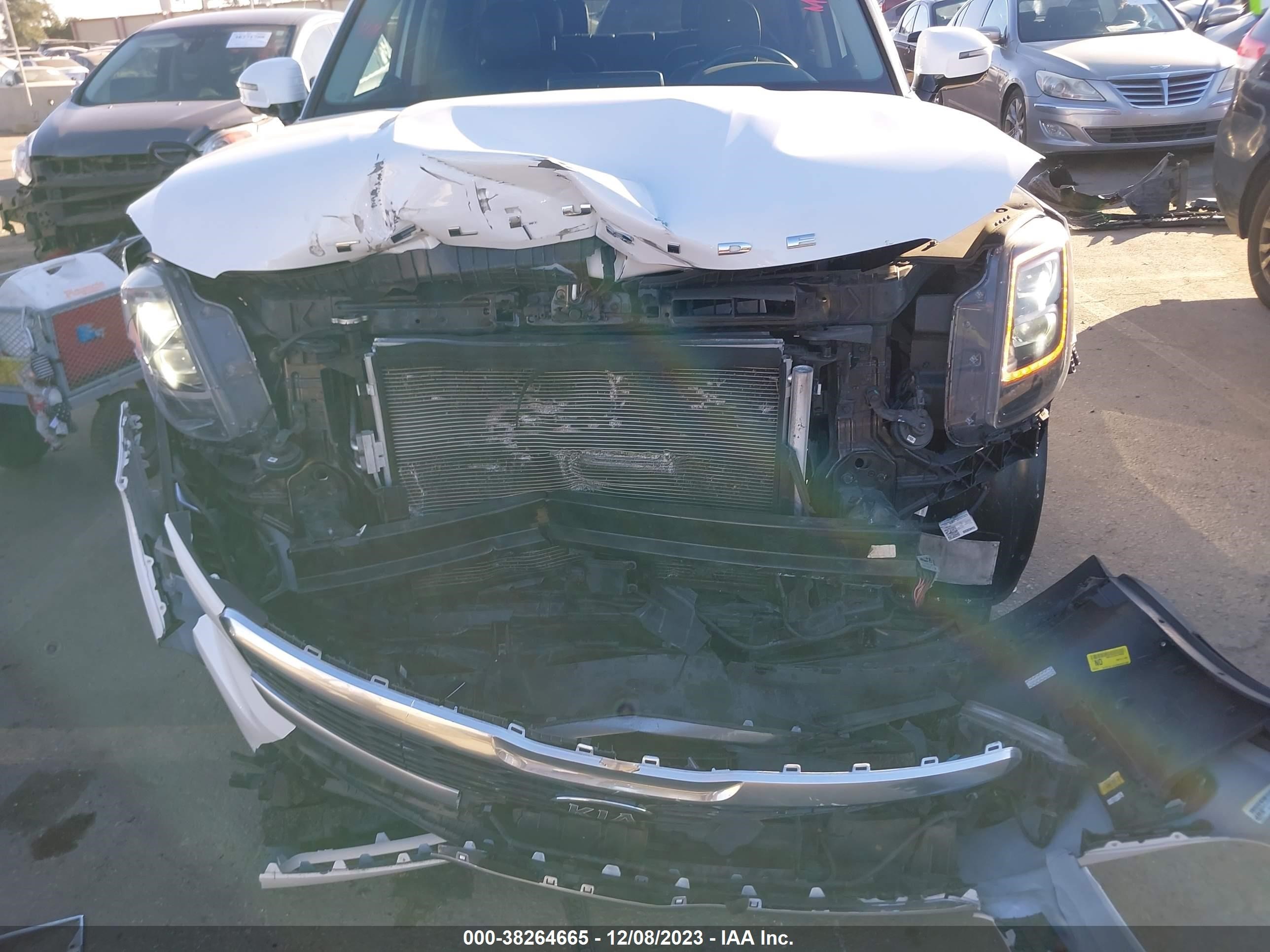 Photo 5 VIN: 5XYP54HC8LG074917 - KIA TELLURIDE 