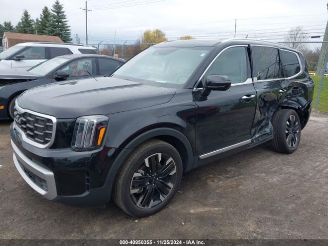 Photo 1 VIN: 5XYP5DGC0PG341698 - KIA TELLURIDE 