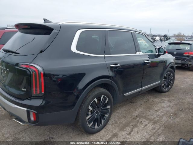 Photo 3 VIN: 5XYP5DGC0PG341698 - KIA TELLURIDE 