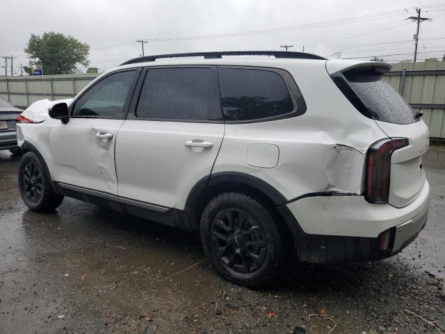 Photo 1 VIN: 5XYP5DGC0PG349560 - KIA TELLURIDE 