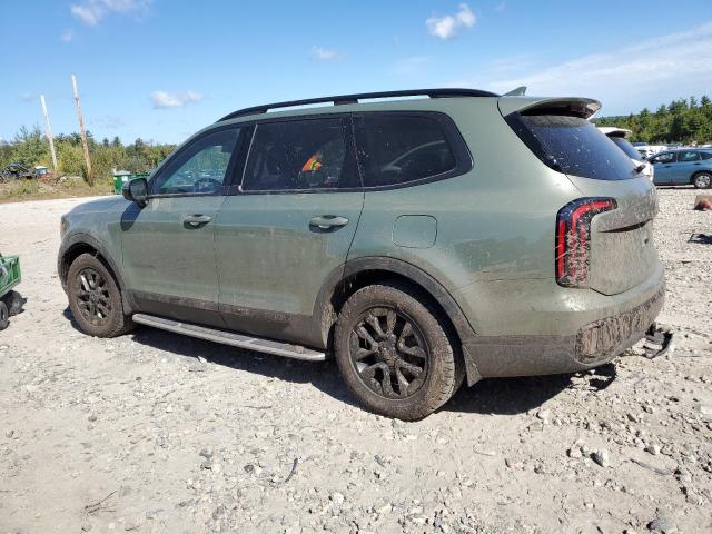 Photo 1 VIN: 5XYP5DGC0RG436202 - KIA TELLURIDE 