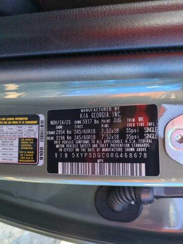 Photo 13 VIN: 5XYP5DGC0RG468678 - KIA TELLURIDE 