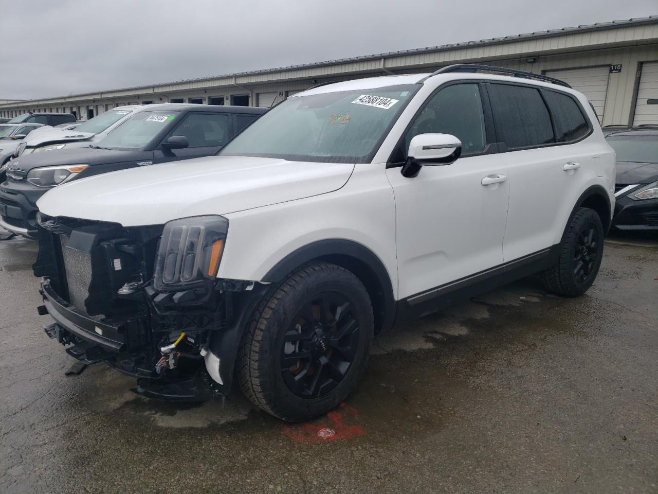 Photo 0 VIN: 5XYP5DGC1PG357506 - KIA TELLURIDE 