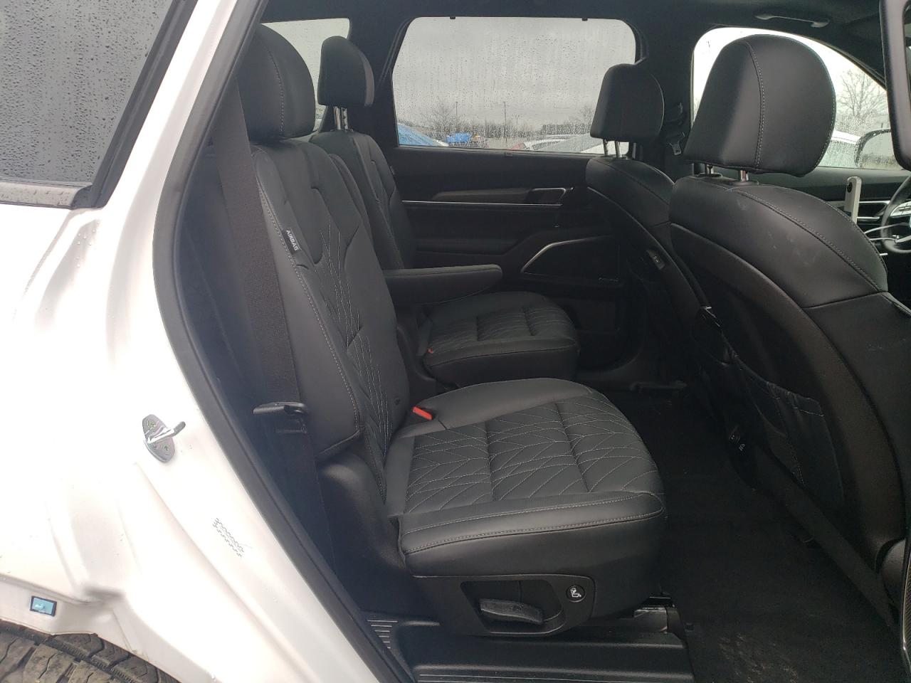 Photo 10 VIN: 5XYP5DGC1PG357506 - KIA TELLURIDE 