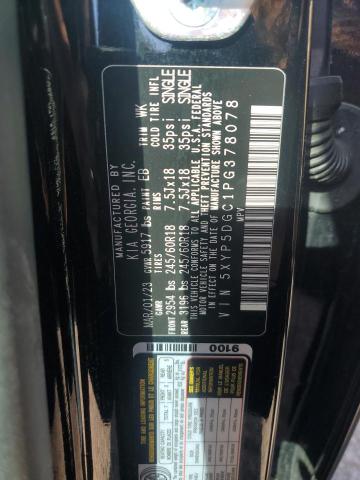 Photo 11 VIN: 5XYP5DGC1PG378078 - KIA TELLURIDE 