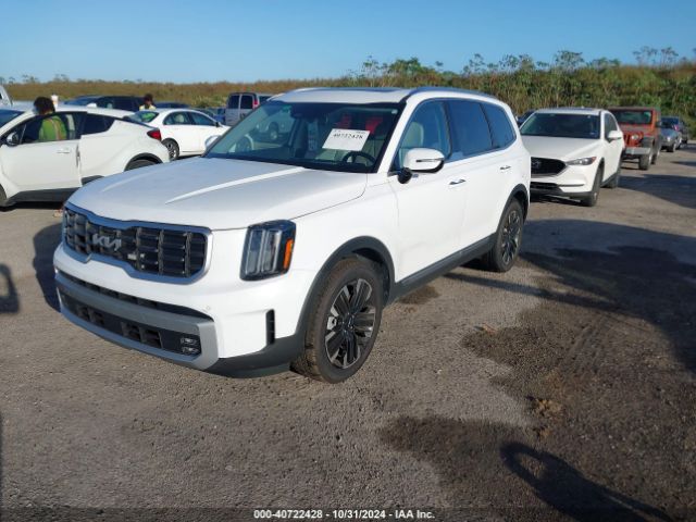 Photo 5 VIN: 5XYP5DGC1PG408163 - KIA TELLURIDE 