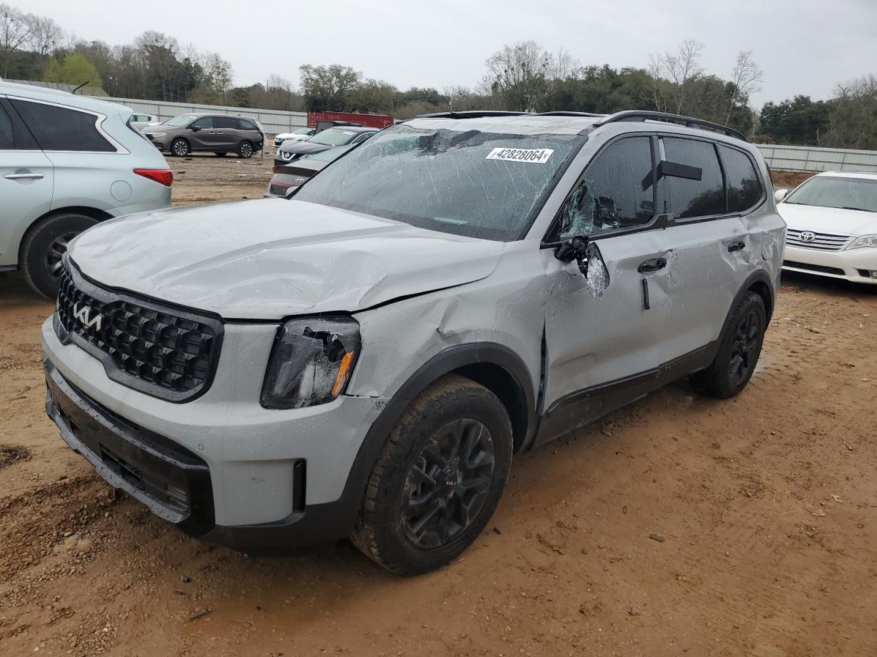 Photo 0 VIN: 5XYP5DGC1RG415813 - KIA TELLURIDE 