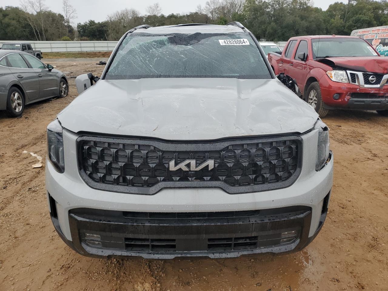 Photo 4 VIN: 5XYP5DGC1RG415813 - KIA TELLURIDE 