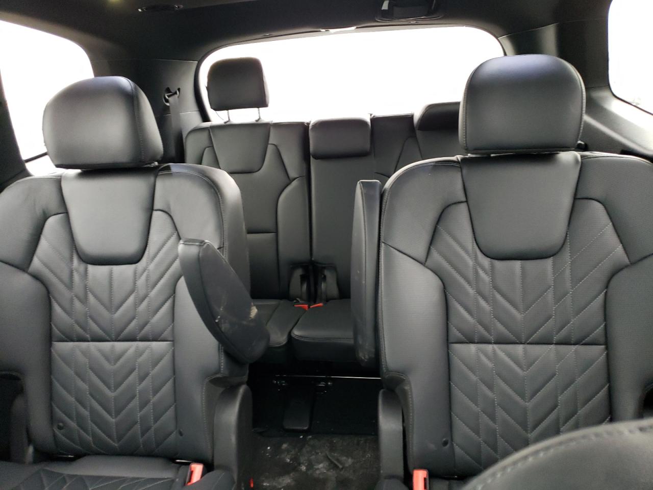 Photo 9 VIN: 5XYP5DGC1RG425600 - KIA TELLURIDE 