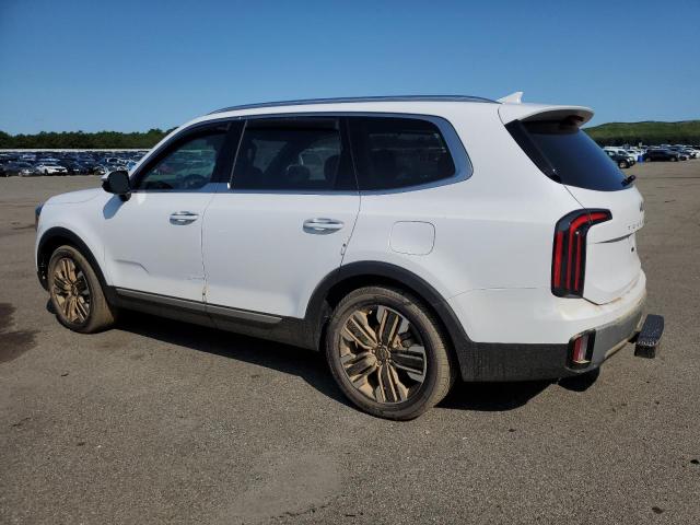 Photo 1 VIN: 5XYP5DGC1RG473808 - KIA TELLURIDE 