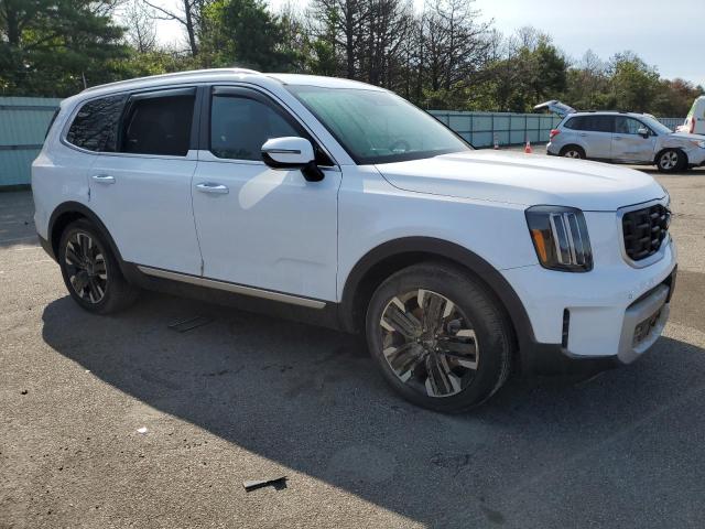 Photo 3 VIN: 5XYP5DGC1RG473808 - KIA TELLURIDE 