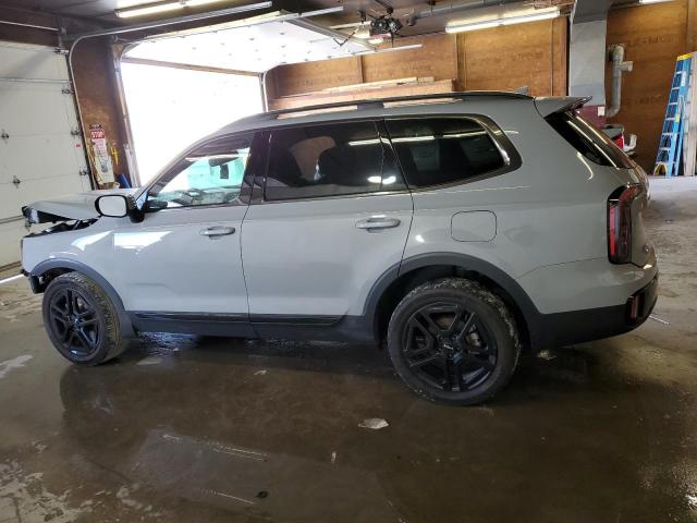 Photo 1 VIN: 5XYP5DGC1RG480466 - KIA TELLURIDE 