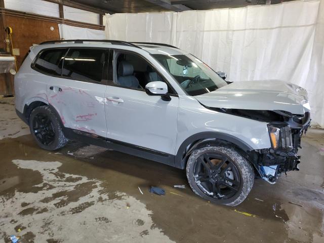 Photo 3 VIN: 5XYP5DGC1RG480466 - KIA TELLURIDE 