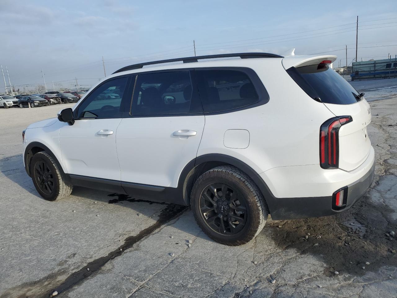 Photo 1 VIN: 5XYP5DGC2PG366019 - KIA TELLURIDE 