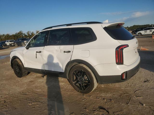 Photo 1 VIN: 5XYP5DGC2PG393690 - KIA TELLURIDE 