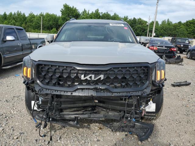 Photo 4 VIN: 5XYP5DGC2RG450425 - KIA TELLURIDE 