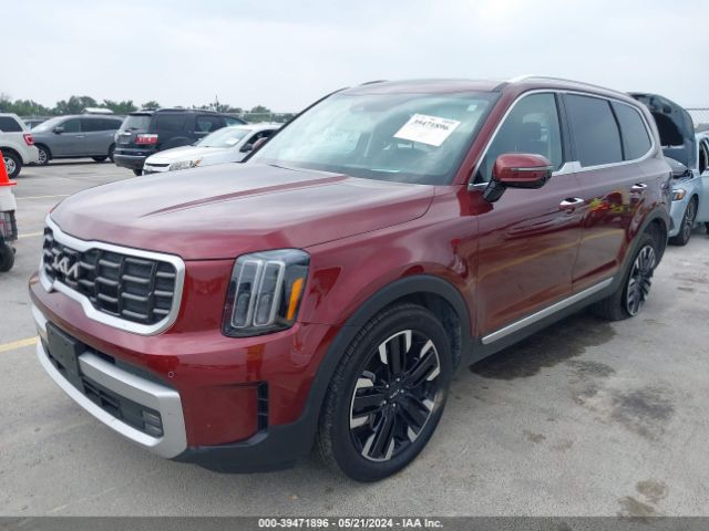 Photo 1 VIN: 5XYP5DGC4PG333944 - KIA TELLURIDE 