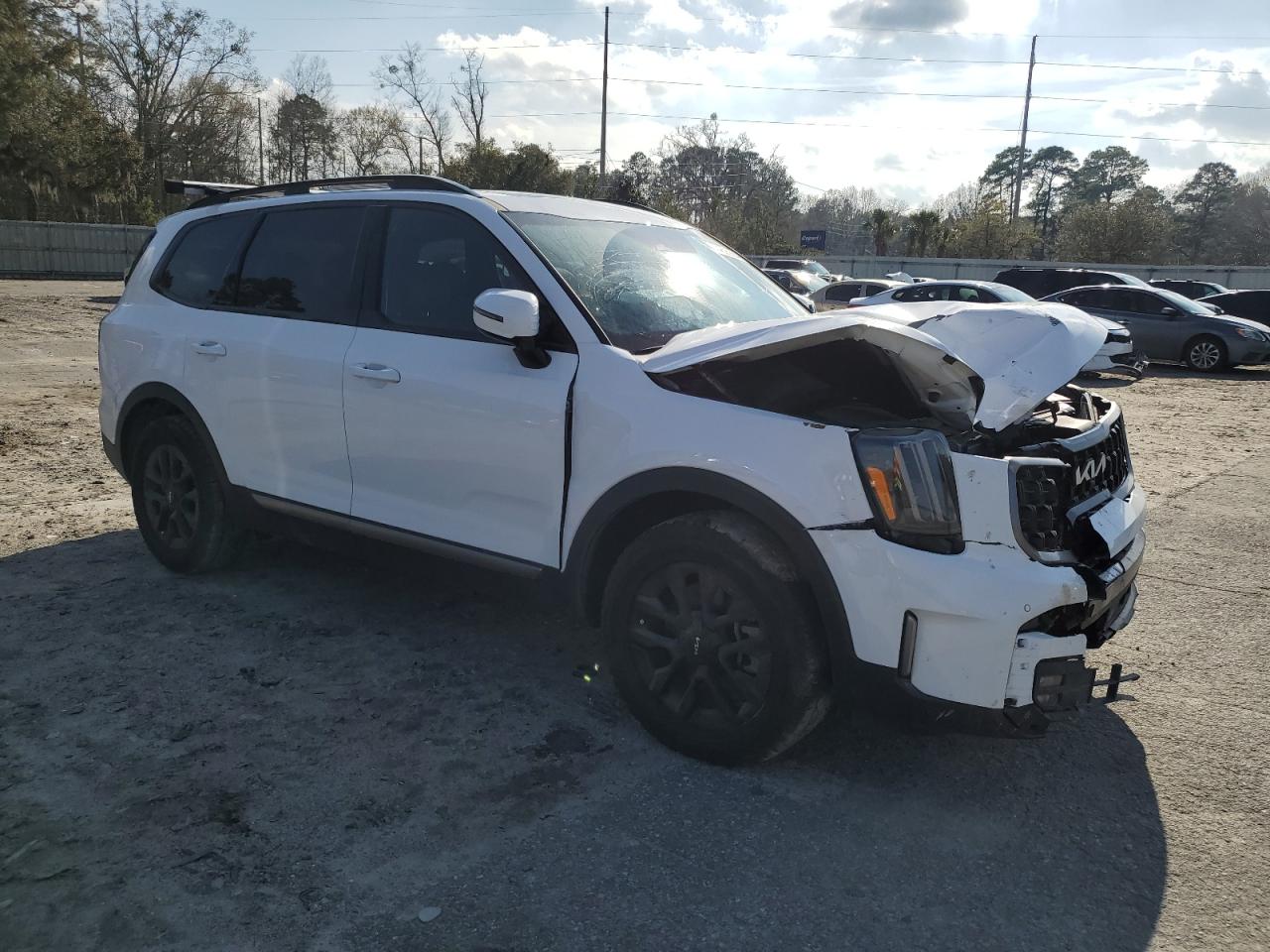 Photo 3 VIN: 5XYP5DGC4PG400784 - KIA TELLURIDE 