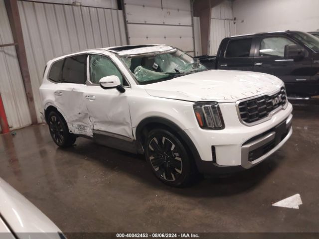 Photo 0 VIN: 5XYP5DGC4RG412064 - KIA TELLURIDE 