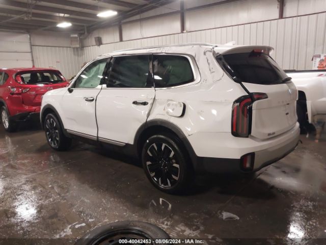 Photo 2 VIN: 5XYP5DGC4RG412064 - KIA TELLURIDE 