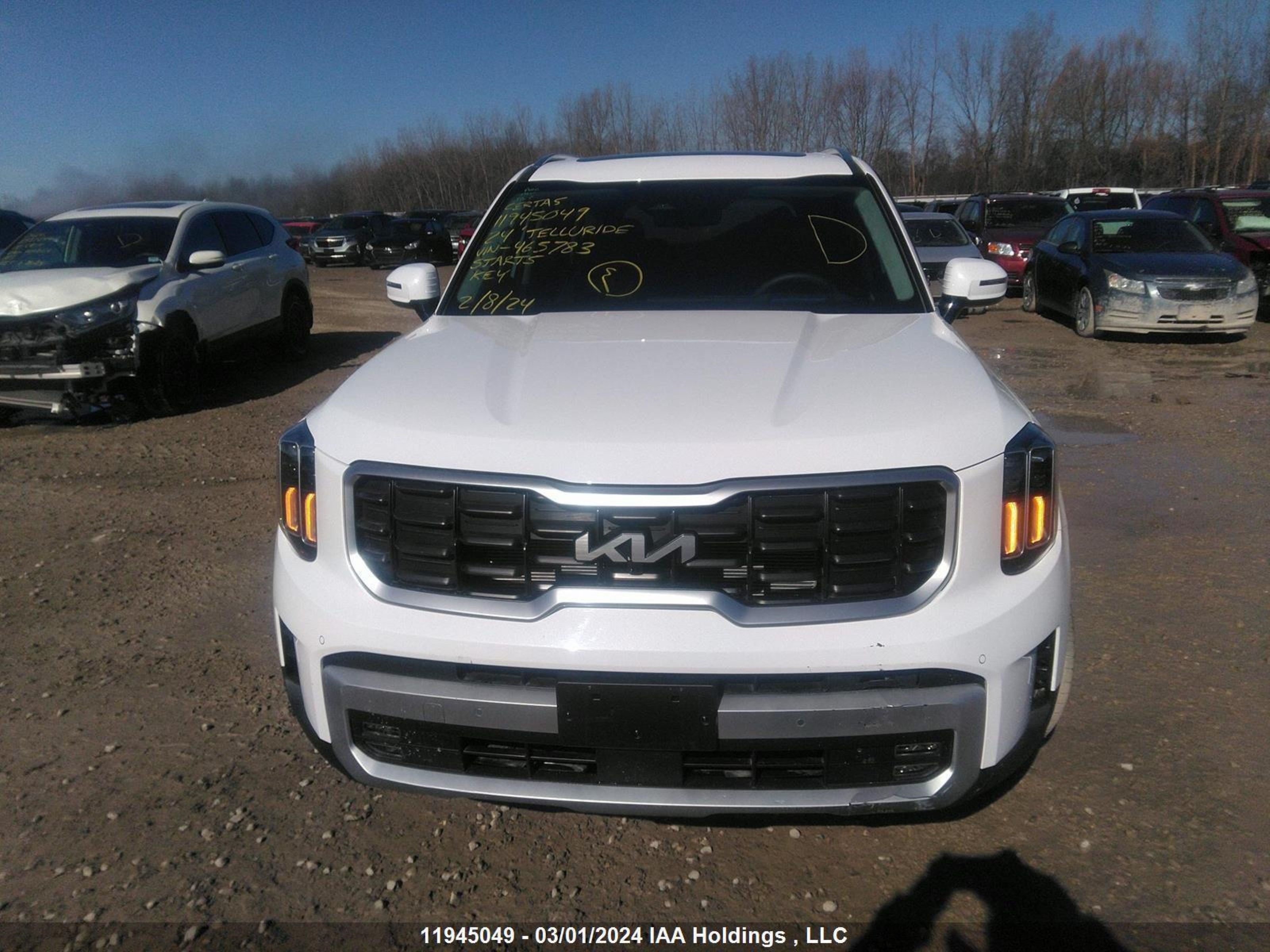 Photo 11 VIN: 5XYP5DGC4RG465783 - KIA TELLURIDE 